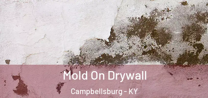 Mold On Drywall Campbellsburg - KY