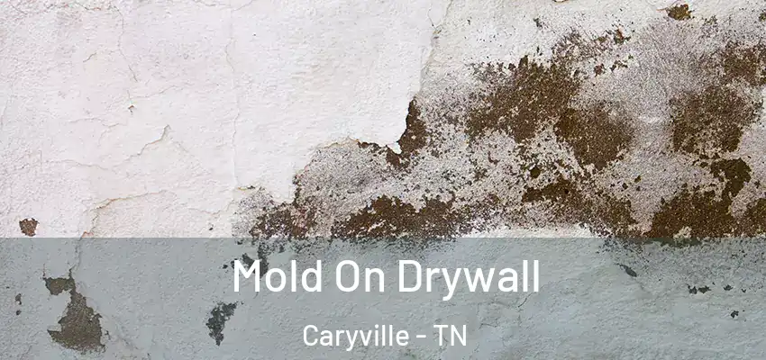 Mold On Drywall Caryville - TN
