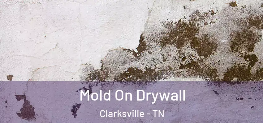  Mold On Drywall Clarksville - TN