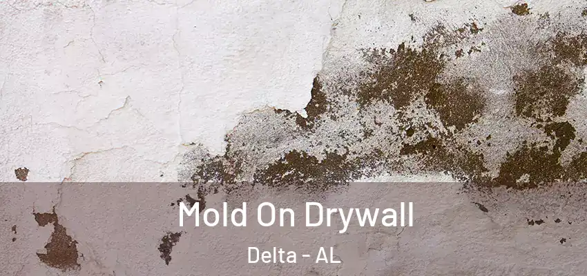 Mold On Drywall Delta - AL