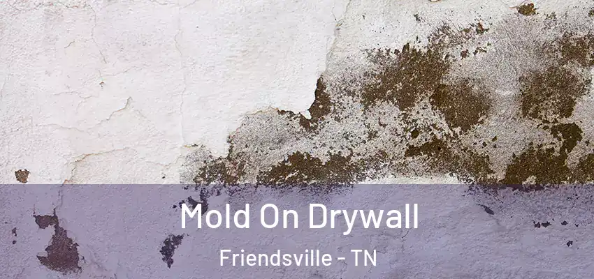 Mold On Drywall Friendsville - TN