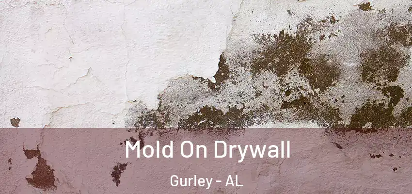  Mold On Drywall Gurley - AL