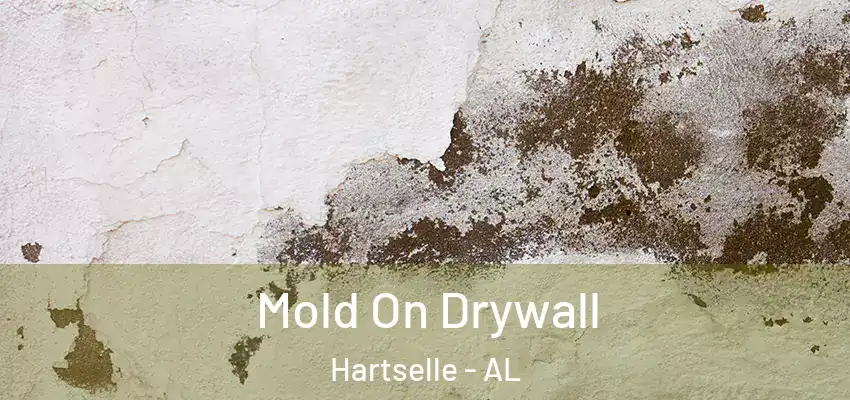 Mold On Drywall Hartselle - AL