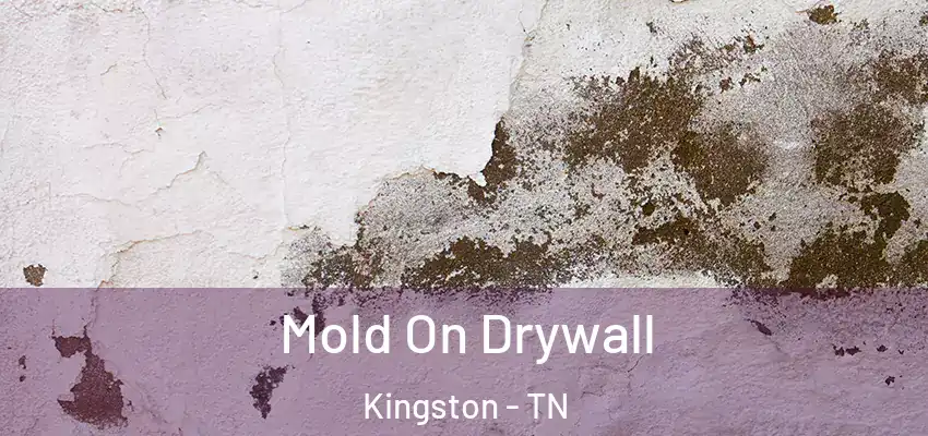 Mold On Drywall Kingston - TN