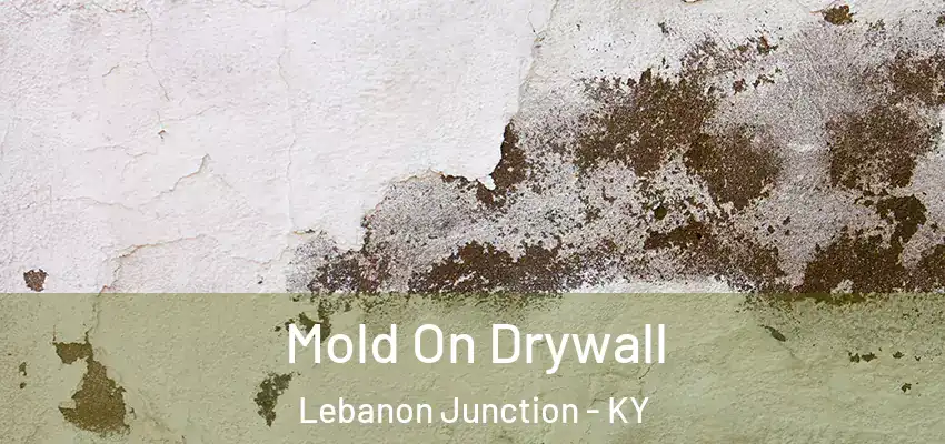  Mold On Drywall Lebanon Junction - KY