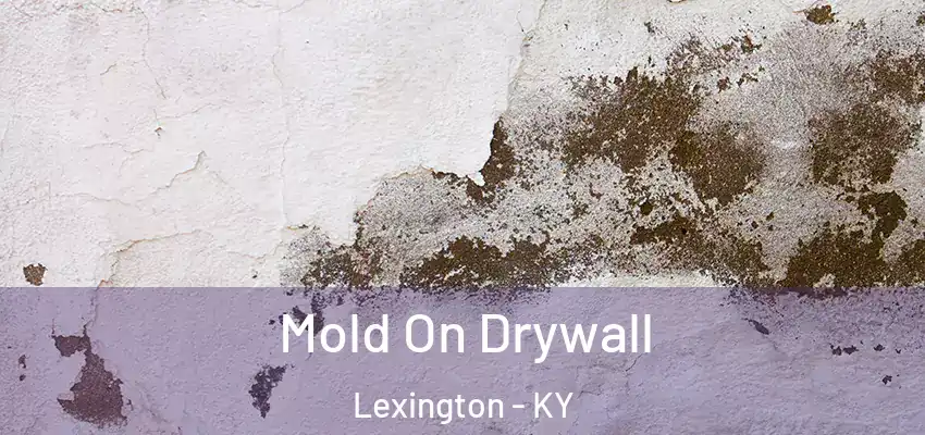  Mold On Drywall Lexington - KY