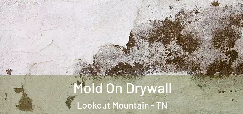  Mold On Drywall Lookout Mountain - TN