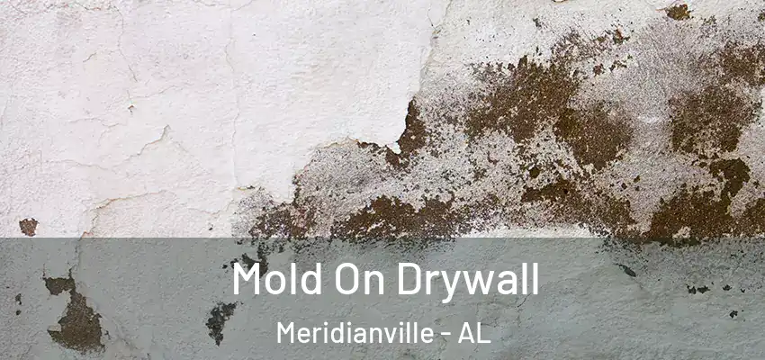 Mold On Drywall Meridianville - AL