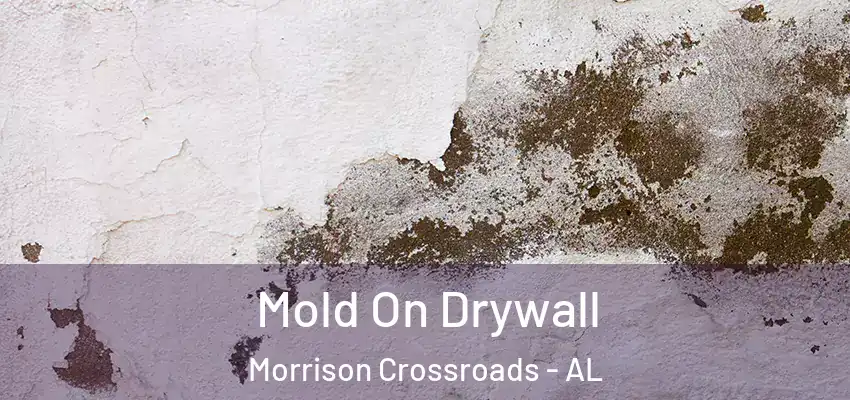 Mold On Drywall Morrison Crossroads - AL