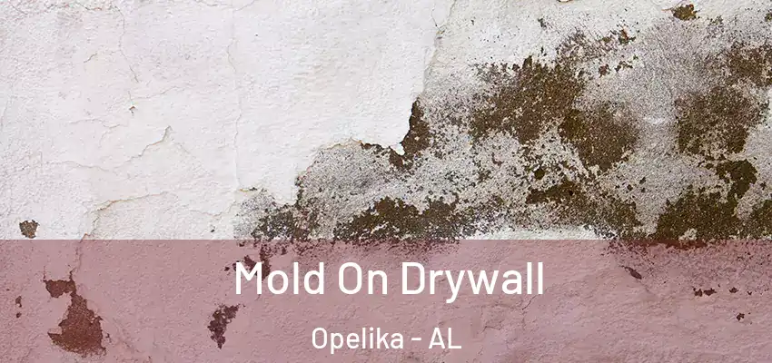  Mold On Drywall Opelika - AL