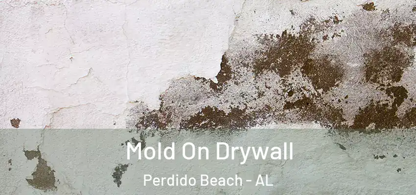  Mold On Drywall Perdido Beach - AL