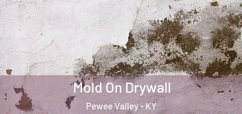  Mold On Drywall Pewee Valley - KY