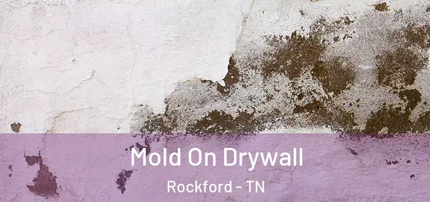  Mold On Drywall Rockford - TN
