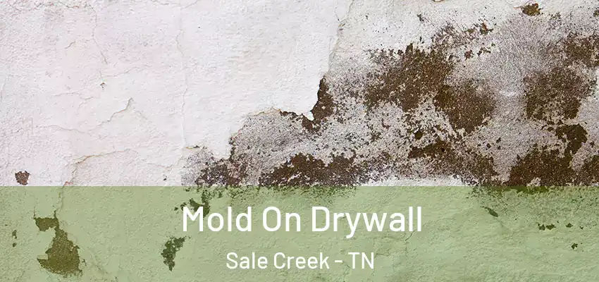 Mold On Drywall Sale Creek - TN