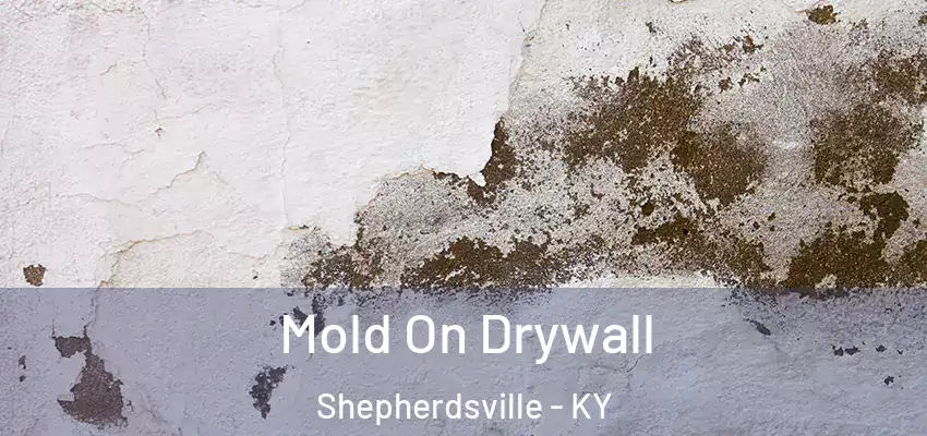  Mold On Drywall Shepherdsville - KY