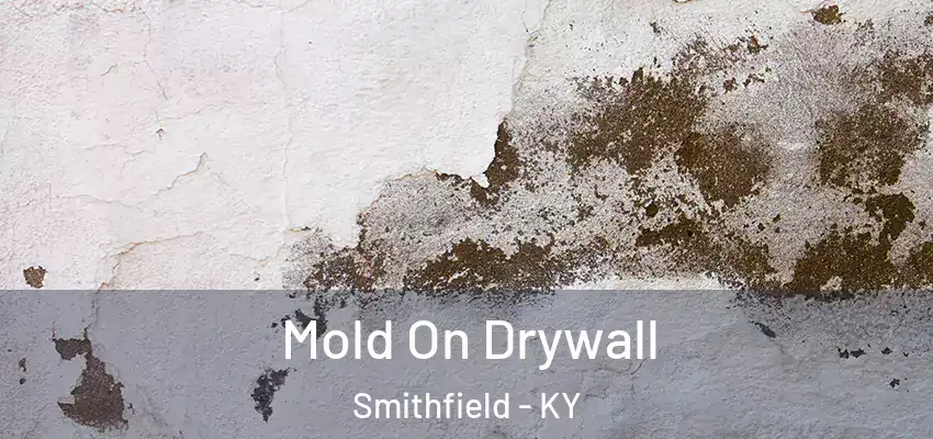 Mold On Drywall Smithfield - KY