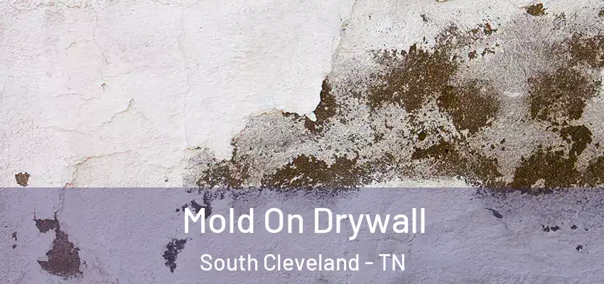  Mold On Drywall South Cleveland - TN