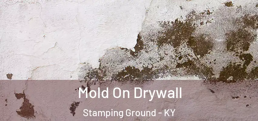  Mold On Drywall Stamping Ground - KY
