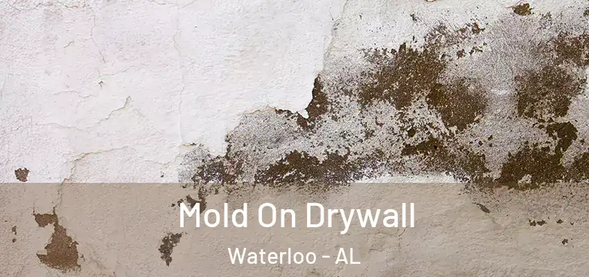Mold On Drywall Waterloo - AL