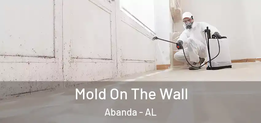  Mold On The Wall Abanda - AL