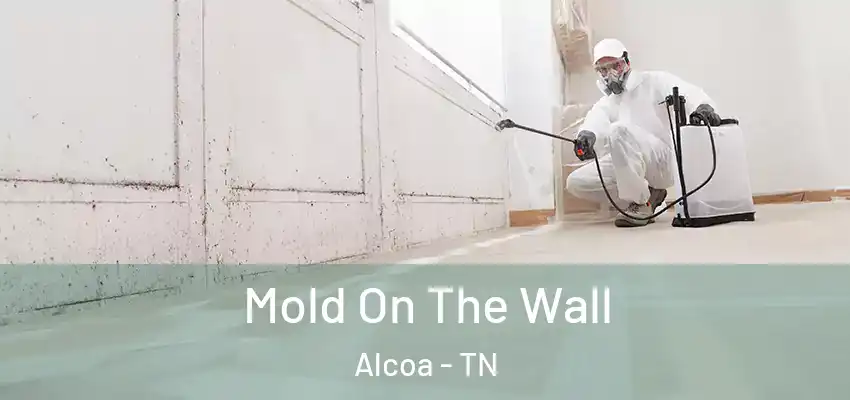 Mold On The Wall Alcoa - TN