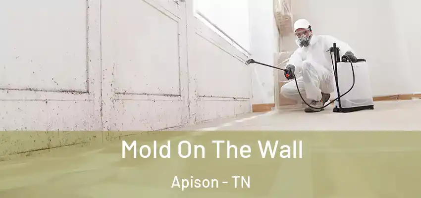  Mold On The Wall Apison - TN