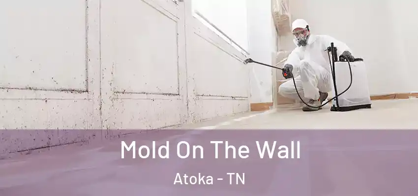  Mold On The Wall Atoka - TN
