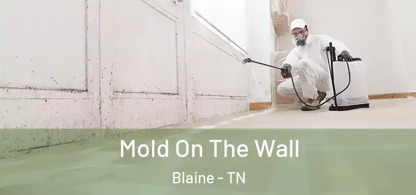  Mold On The Wall Blaine - TN