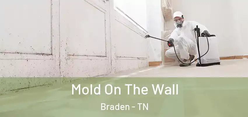  Mold On The Wall Braden - TN
