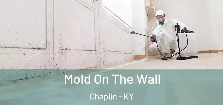  Mold On The Wall Chaplin - KY