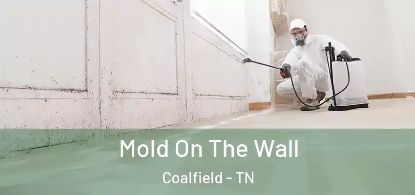  Mold On The Wall Coalfield - TN