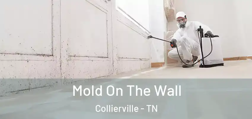 Mold On The Wall Collierville - TN