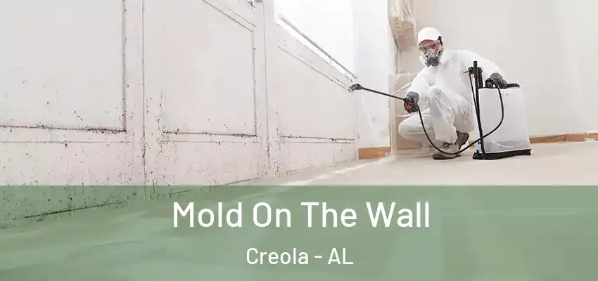  Mold On The Wall Creola - AL