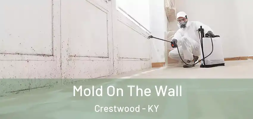 Mold On The Wall Crestwood - KY