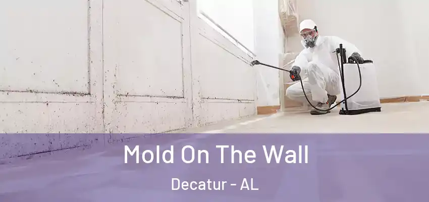 Mold On The Wall Decatur - AL
