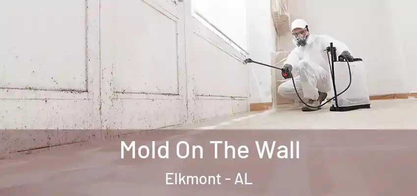  Mold On The Wall Elkmont - AL
