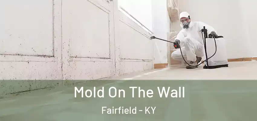 Mold On The Wall Fairfield - KY