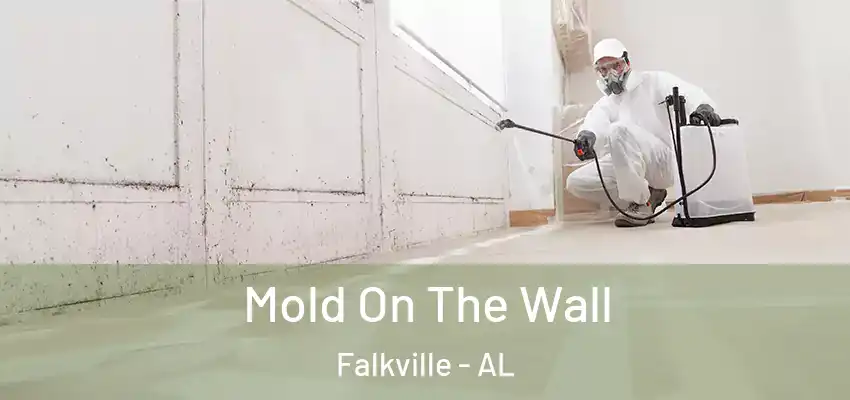 Mold On The Wall Falkville - AL