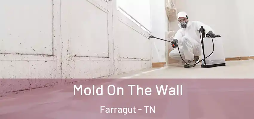  Mold On The Wall Farragut - TN