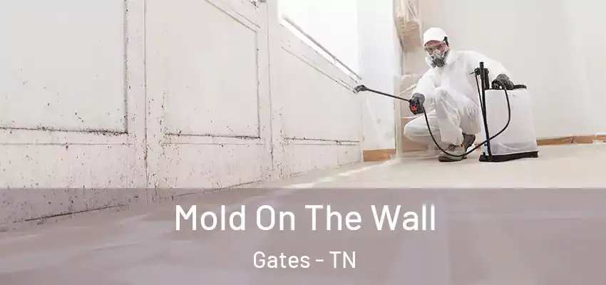  Mold On The Wall Gates - TN