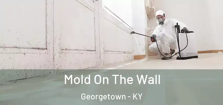 Mold On The Wall Georgetown - KY