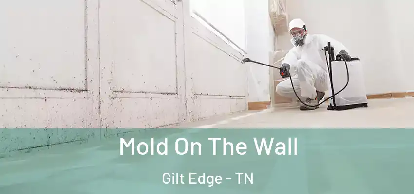 Mold On The Wall Gilt Edge - TN