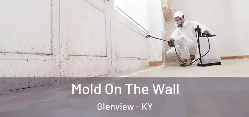  Mold On The Wall Glenview - KY