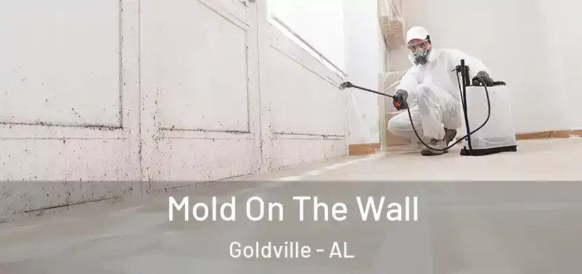 Mold On The Wall Goldville - AL