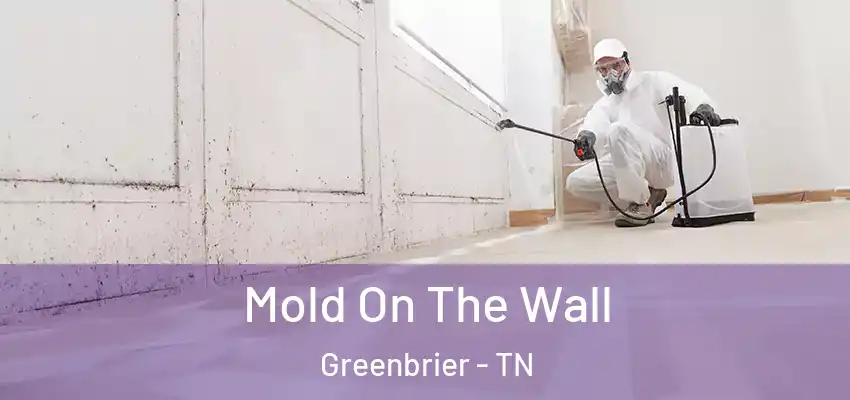 Mold On The Wall Greenbrier - TN