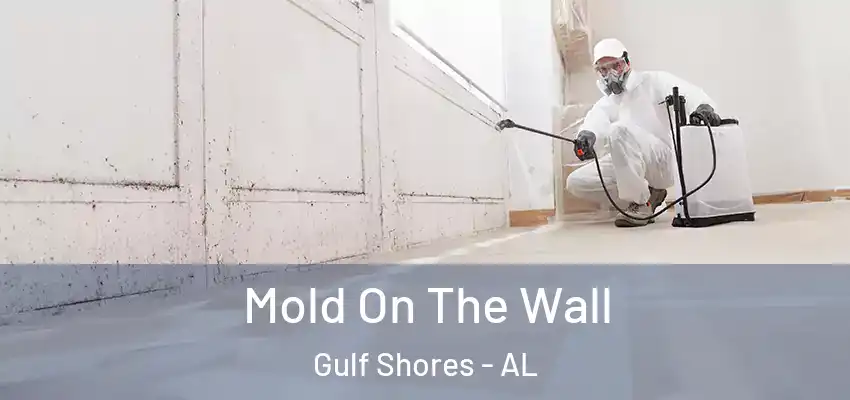  Mold On The Wall Gulf Shores - AL