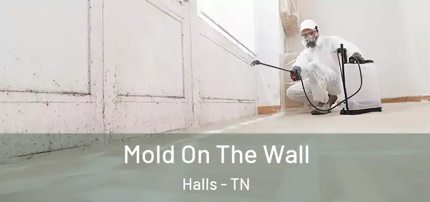  Mold On The Wall Halls - TN