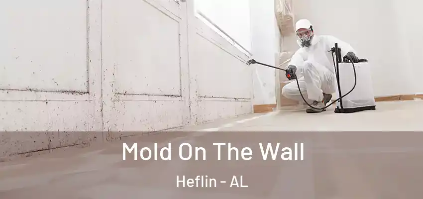 Mold On The Wall Heflin - AL
