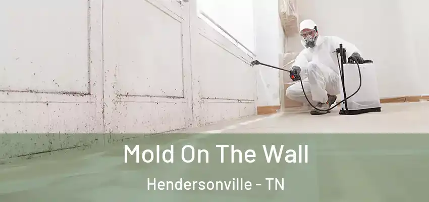 Mold On The Wall Hendersonville - TN