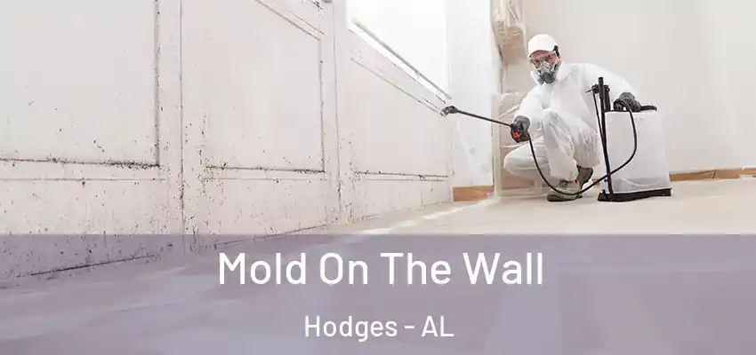 Mold On The Wall Hodges - AL